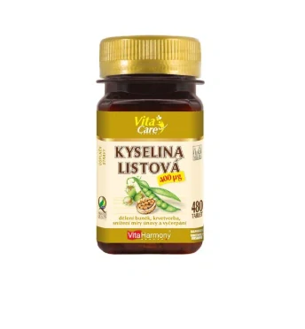 XXL Kyselina listová 400 µg - 480 tbl.