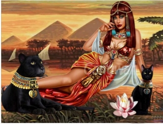 Kamínkové vyšívání obraz z kamínků Vyšívací sada diamantové vyšívání KAMÍNKY JSOU PO CELÉ PLOŠE Egypt žena > 20x15cm