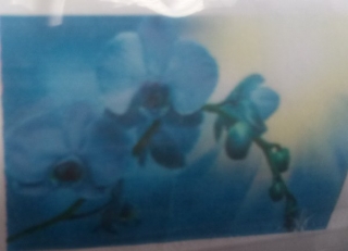 Kamínkové vyšívání Obrázek s kamínků Vyšívací sada diamantové vyšívání KAMÍNKY JSOU PO CELÉ PLOŠE orchidej > 30x20cm