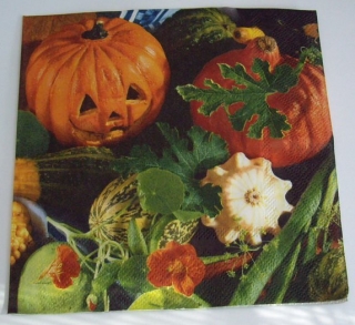 Ubrousek na decoupage dýně hellowen