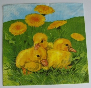 Ubrousek kuřátka a pampelišky ubrousek na decoupage