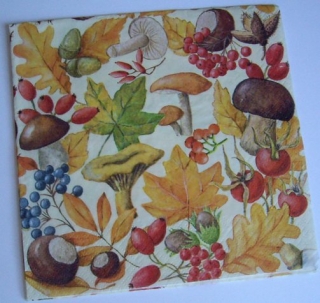 Ubrousek houby šípky houbičky ubrousek na decoupage