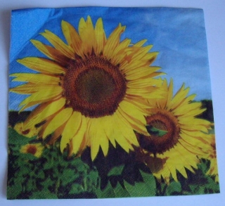 Ubrousek slunečnice ubrousek na decoupage