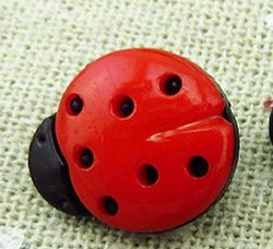 Knoflík beruška