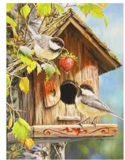 Diamantové vyšívání Obrazy s kamínků KAMÍNKY JSOU PO CELÉ PLOŠE ptačí budka > 20x30cm