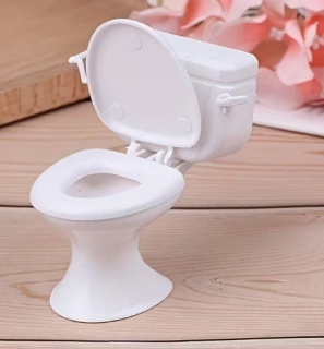 WC toaleta miniatura pro panenky