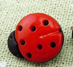 Knoflík beruška
