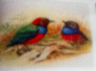 Diamantové vyšívání Obrazy s kamínků KAMÍNKY NEJSOU PO CELÉ PLOŠE ptáčkové > 30x40cm