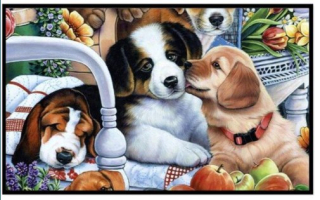 Diamantové vyšívání Obrazy z kamínků KAMÍNKY JSOU PO CELÉ PLOŠE pejskové > 20x25cm
