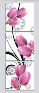 Diamantové vyšívání Obrazy s kamínků KAMÍNKY JSOU PO CELÉ PLOŠE tulipány > 3x40x40cm